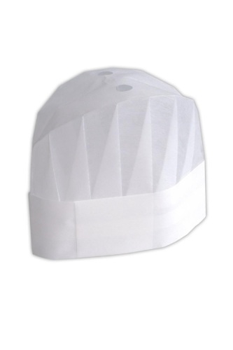 Dolphin Aşçı Kepi 10 Adet - Dolphin