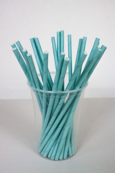 Dolphin Kağıt Pipet Açık Mavi 22cm 25li - 1