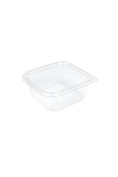 Sızdırmaz Kendinden Kapaklı Plastik Kap 500 gr (100'lü) - 1